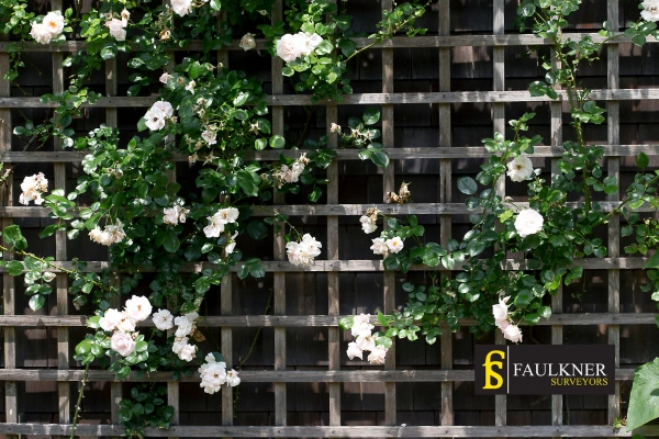 Can I put trellis on my Neighbours garage wall? 2 Do you want to adapt your neighbours garage door and add a trellis Fleet? Talk to Faulkner Surveyor Fleet